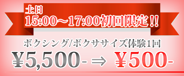 ボクシング,ボクササイズ,トレーニング,スパーリング,ダイエット,メタボ対策